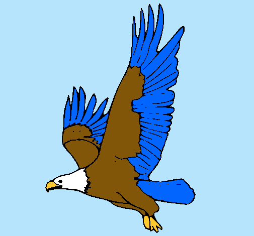 Dibujo Águila volando pintado por ana_2222