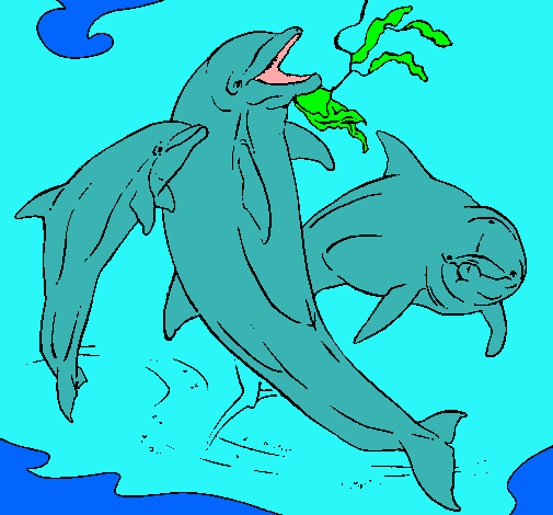 Dibujo Delfines jugando pintado por catroll