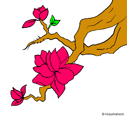 Dibujo Flor de almendro pintado por anita999