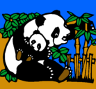 Dibujo Mama panda pintado por jose-ruiz