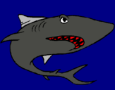 Dibujo Tiburón pintado por elisenda85