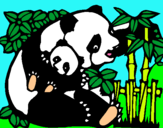 Dibujo Mama panda pintado por naty13726