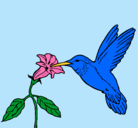 Dibujo Colibrí y una flor pintado por laptopcila