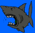 Dibujo Tiburón pintado por alvin