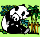 Dibujo Mama panda pintado por bautista