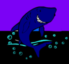 Dibujo Tiburón pintado por CANJY