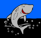 Dibujo Tiburón pintado por pollito115