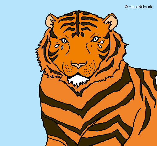 Dibujo Tigre pintado por arcoiris03