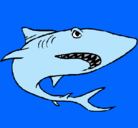 Dibujo Tiburón pintado por maldito
