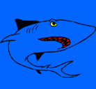 Dibujo Tiburón pintado por donquico