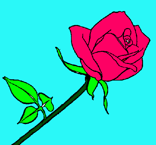 Dibujo Rosa pintado por julialinda