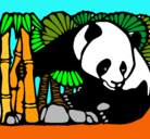 Dibujo Oso panda y bambú pintado por nico8