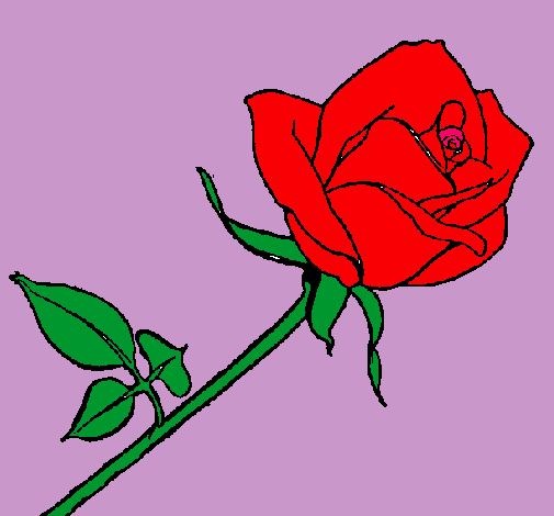 Dibujo Rosa pintado por ElRafaCrac