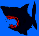 Dibujo Tiburón pintado por hyoga