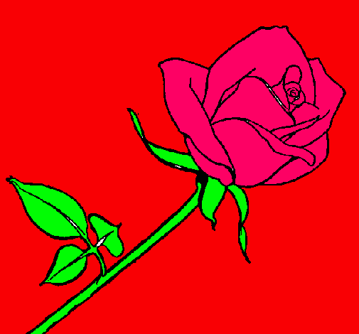 Dibujo Rosa pintado por H-L-v