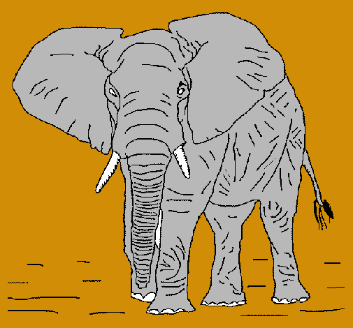 Dibujo Elefante pintado por jpllamas