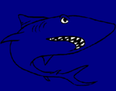 Dibujo Tiburón pintado por vvvvvvvvvvvv