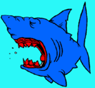 Dibujo Tiburón pintado por OTON