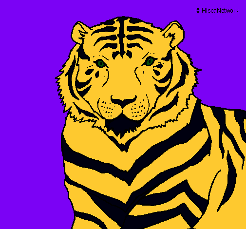 Dibujo Tigre pintado por Jimmy_David