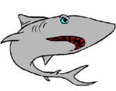 Dibujo Tiburón pintado por richineitor