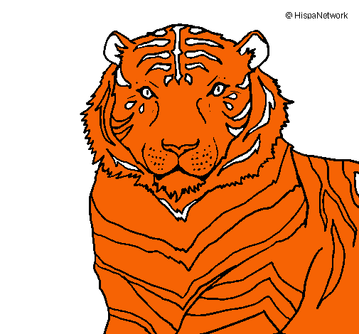 Dibujo Tigre pintado por kevin-osiris-