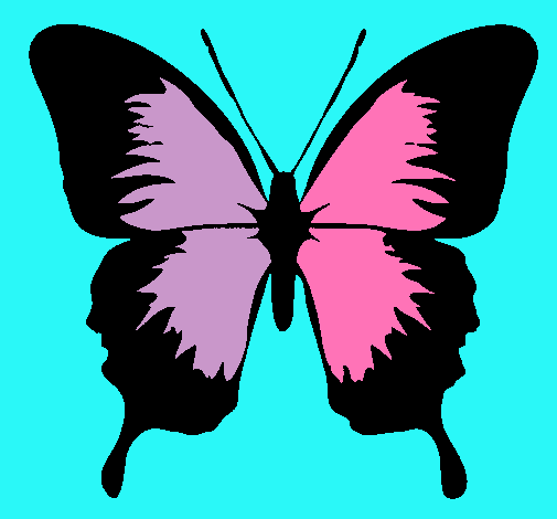 Dibujo Mariposa con alas negras pintado por currichipand