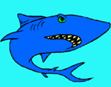 Dibujo Tiburón pintado por Albertillo
