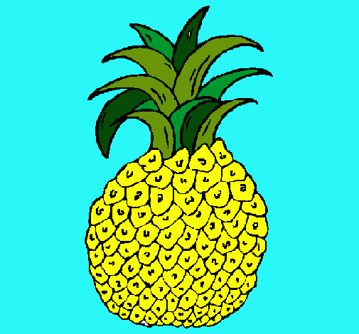 Dibujo piña pintado por fathyma