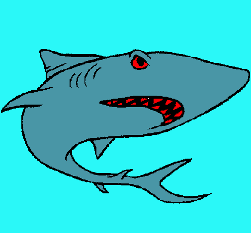 Dibujo Tiburón pintado por jose111