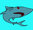 Dibujo Tiburón pintado por jose111