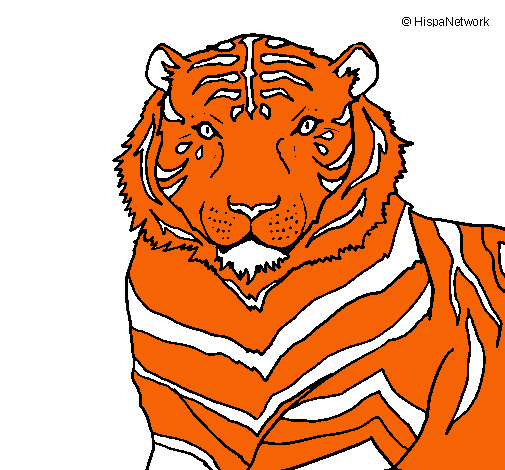 Dibujo Tigre pintado por pameymau