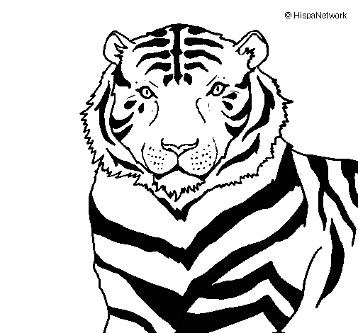 Dibujo Tigre pintado por danicash