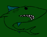 Dibujo Tiburón pintado por kkkkkkkkkkkk