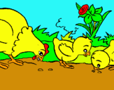 Dibujo Gallina y pollitos pintado por paolapollito