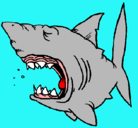Dibujo Tiburón pintado por pixi