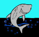 Dibujo Tiburón pintado por yonnel