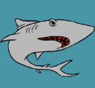 Dibujo Tiburón pintado por camarada