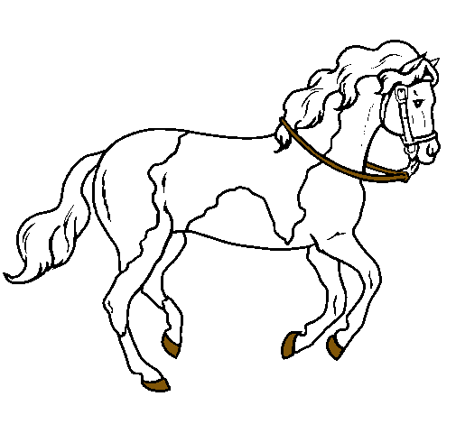 Dibujo Caballo 5 pintado por pintux20