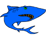 Dibujo Tiburón pintado por Theo