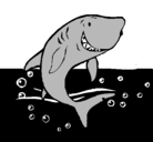 Dibujo Tiburón pintado por ternurita