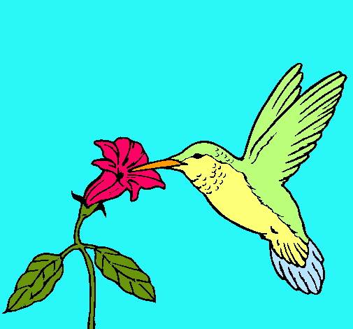 Dibujo Colibrí y una flor pintado por Gissellira