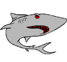 Dibujo Tiburón pintado por tobby