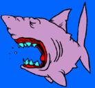 Dibujo Tiburón pintado por sofia-bmanga