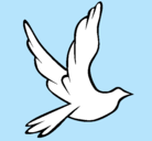 Dibujo Paloma de la paz al vuelo pintado por dinios