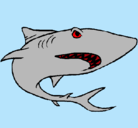 Dibujo Tiburón pintado por hytgf