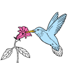 Dibujo Colibrí y una flor pintado por Lucia_mori