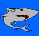 Dibujo Tiburón pintado por romansabe