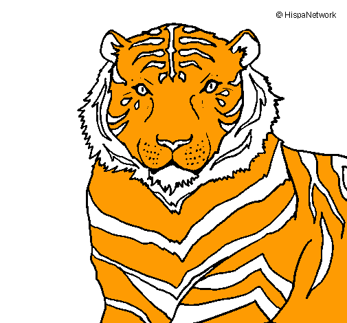 Dibujo Tigre pintado por Lucia_mori