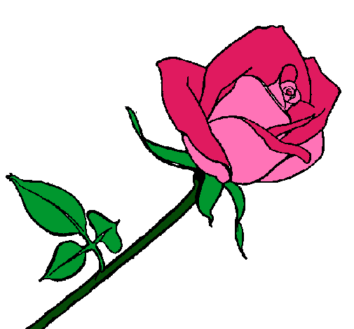 Dibujo Rosa pintado por Inespatin