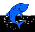 Dibujo Tiburón pintado por NAHUEL1